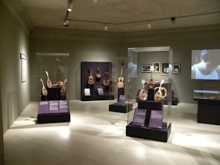 Acrylic Displays Guitars